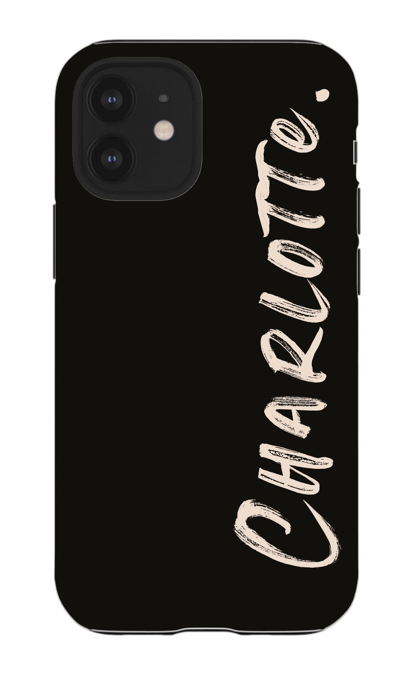 iPhone 12 Mini